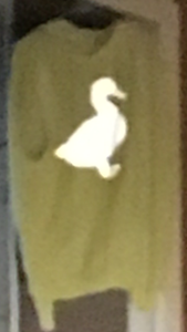 Reflector Duck